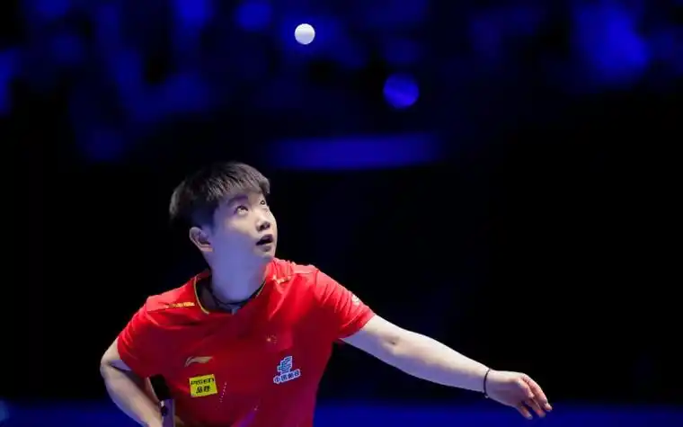 孙继海神比喻引热议：乒乓球国手跨界打趣，体育圈“降维打击”笑翻网友